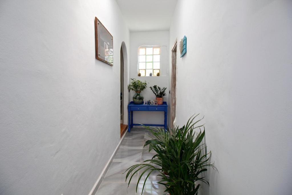Villa Alto Arena Piscina Privada Climatizada Ingenio Exteriör bild
